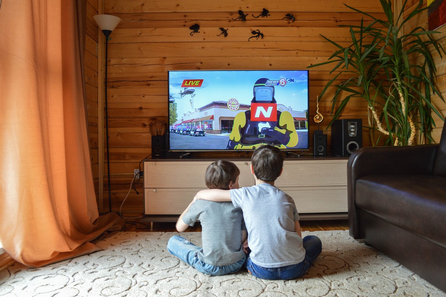 Pourquoi il n’y a pas d’image sur la télévision alors qu’il y a du son